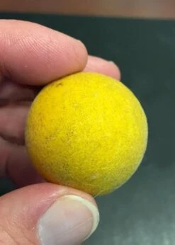 Flying Dragon Hardy Orange Tree - 7 Gallon Pot (5-6') (COPY) -Botanica Tree Store Orange Flying Dragon 6 1