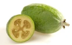 Pineapple Guava -Feijoa Sellowiana - 7 Gallon Pot -Botanica Tree Store Pineapple Guava Fruit