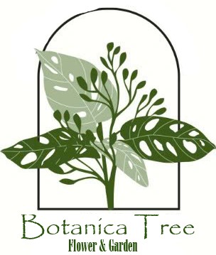 Botanica Tree Store